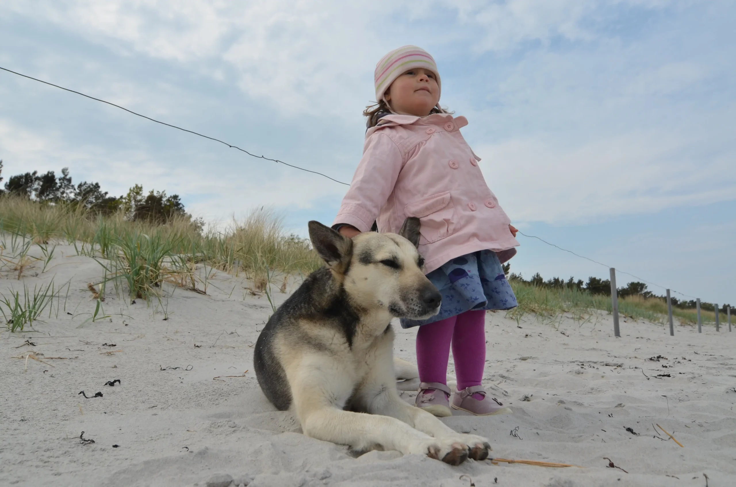 Homepage Startseite Fellnasen
Nadine Miesenburg, Blauzone Textilgestaltung aus Stoffen mit Erinnerungen, Trauerbegleitung, Erinnerungsarbeit,
Kleidung von Verstorbenen. In Zeiten von Trauer und Verlust zum Trösten und Erinnern.